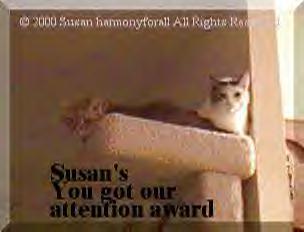 Got Susans Attention Award