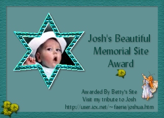 Josh's Award